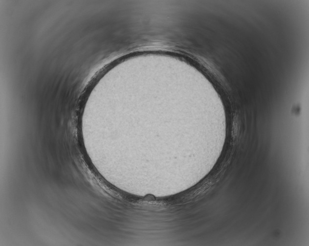 X0000114561356200911301238
