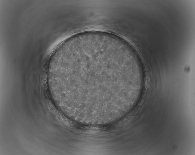 X0000114561359200911301238
