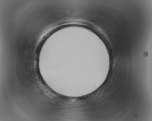 X0000114561360200911301238