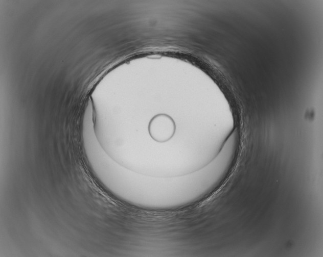X0000114561361200911301238