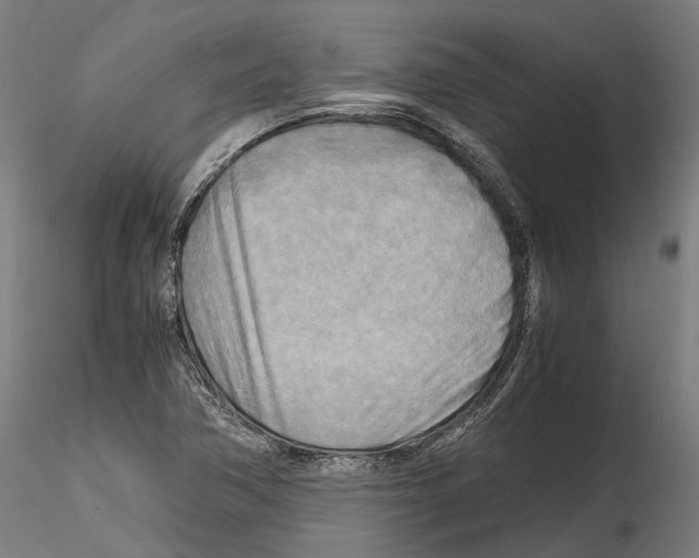 X0000114561362200911301238