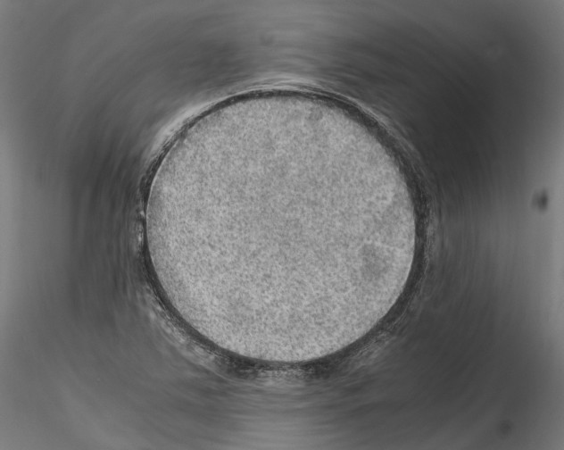 X0000114561363200911301238