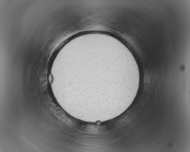 X0000114561364200911301238