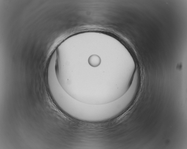 X0000114561365200911301238