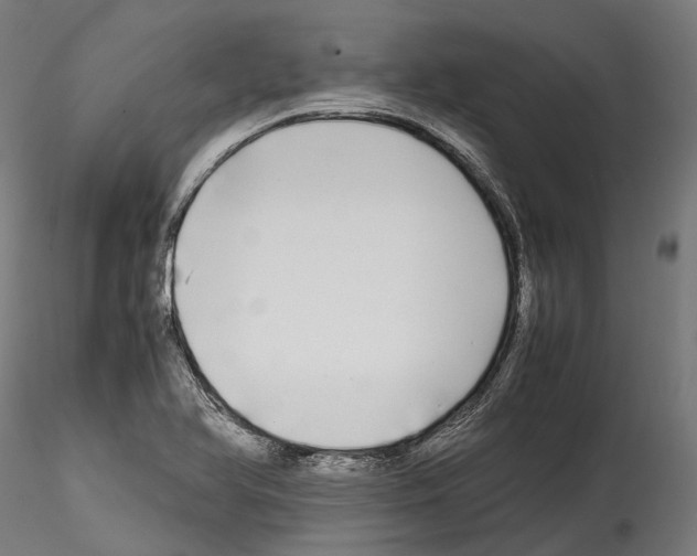X0000114561366200911301238