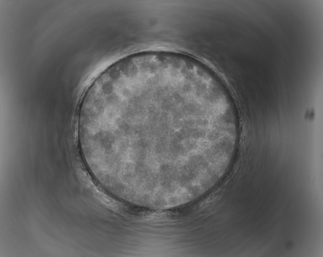 X0000114561367200911301238