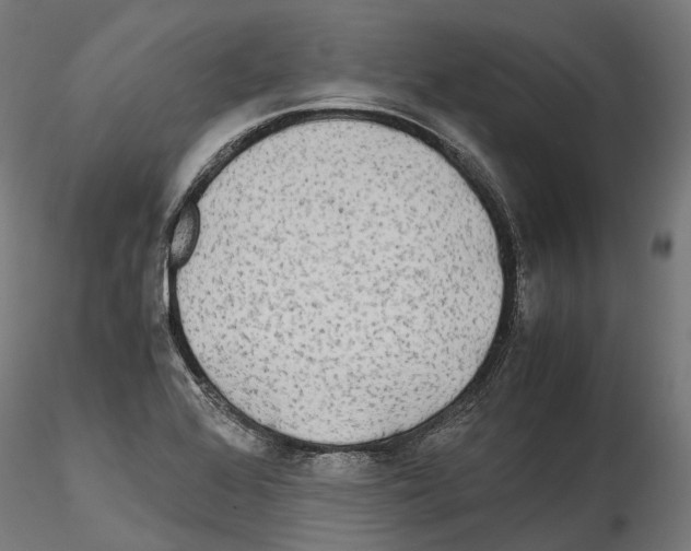 X0000114561368200911301238