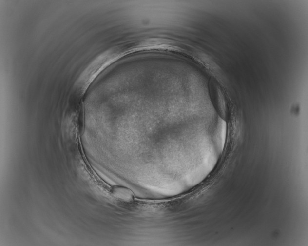X0000114561369200911301238