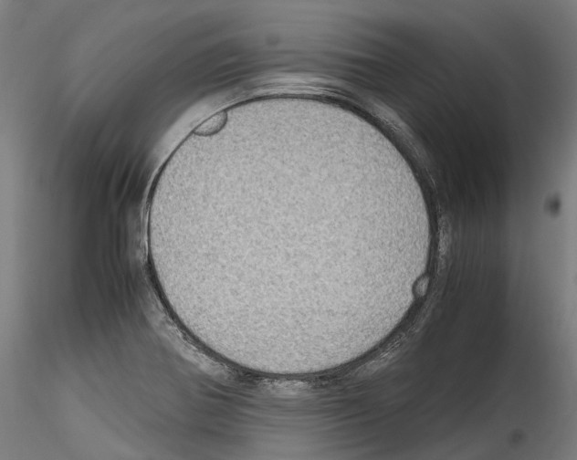 X0000114561370200911301238