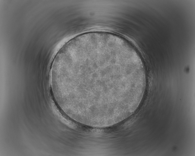 X0000114561371200911301238