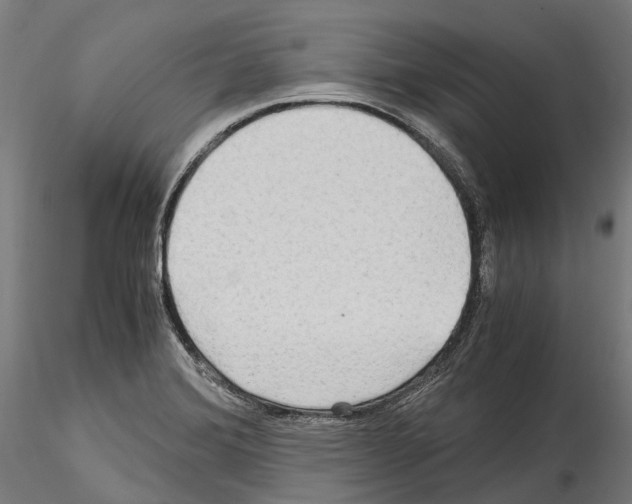 X0000114561372200911301238