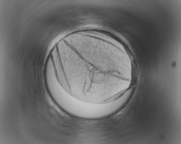 X0000114561373200911301238