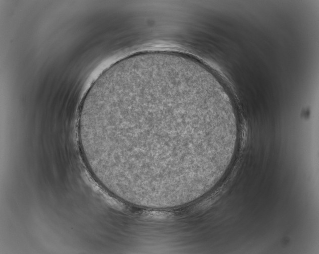 X0000114561374200911301238