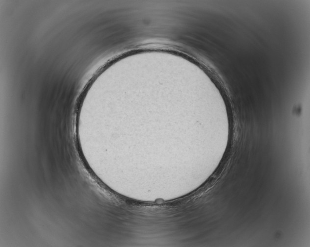 X0000114561376200911301238