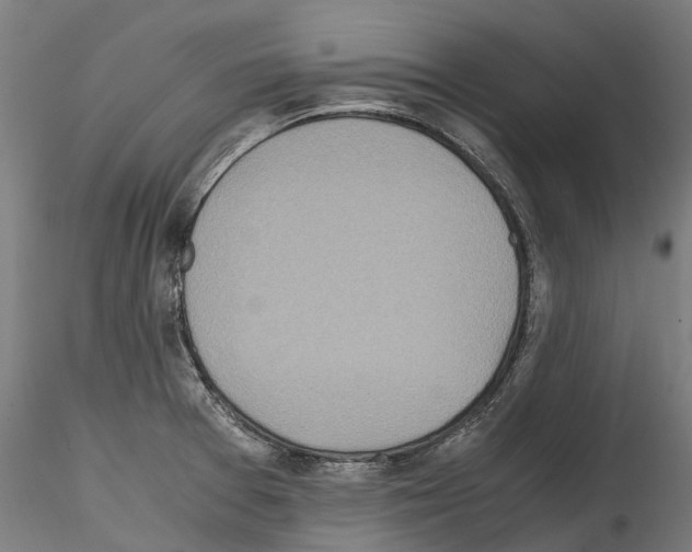 X0000114561377200911301238