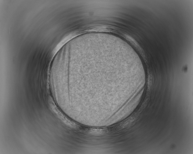 X0000114561378200911301238