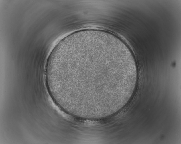 X0000114561379200911301238