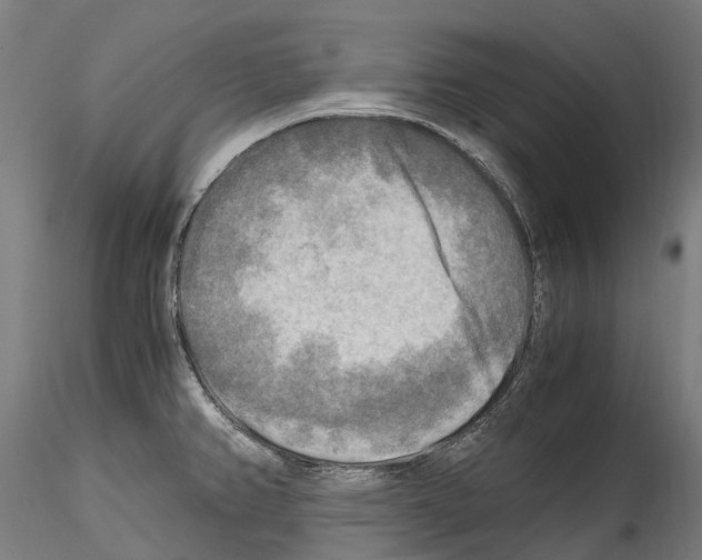 X0000114561382200911301237