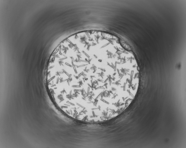 X0000114561383200911301237