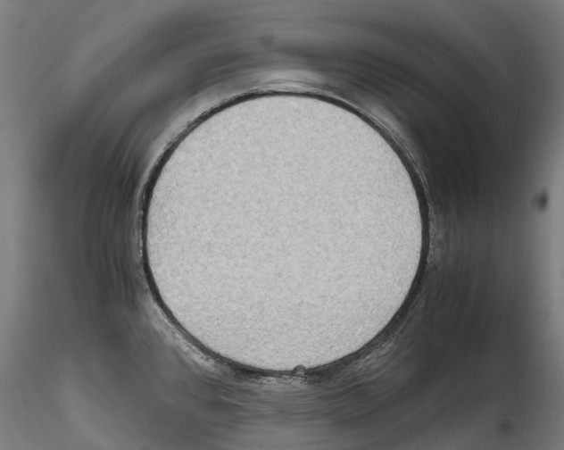 X0000114561384200911301237
