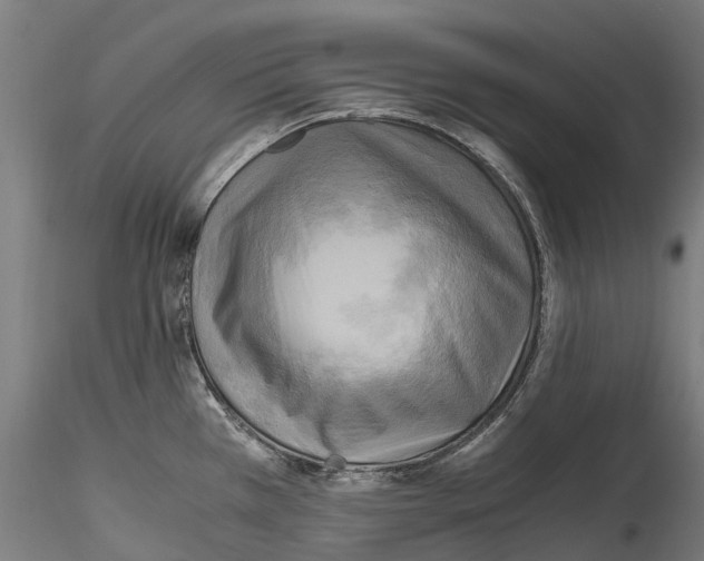 X0000114561385200911301237