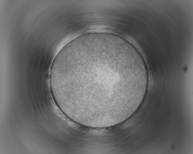 X0000114561386200911301237