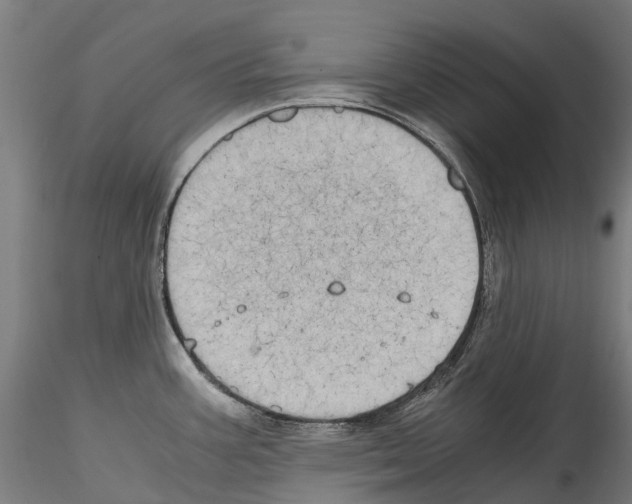 X0000114561387200911301237