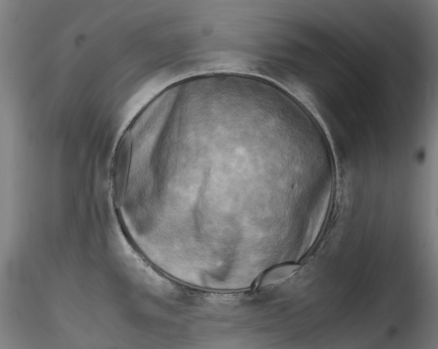 X0000114561389200911301237