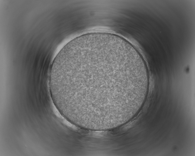 X0000114561390200911301237
