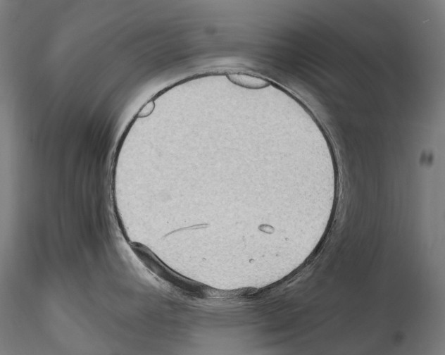 X0000114561392200911301237