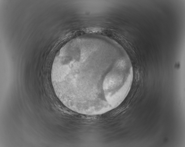 X0000114561393200911301237