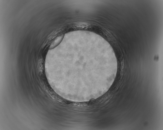 X0000114561394200911301237
