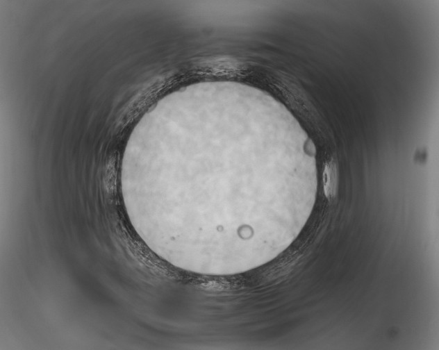 X0000114561395200911301237