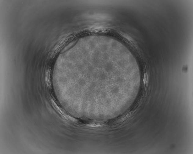 X0000114561396200911301237