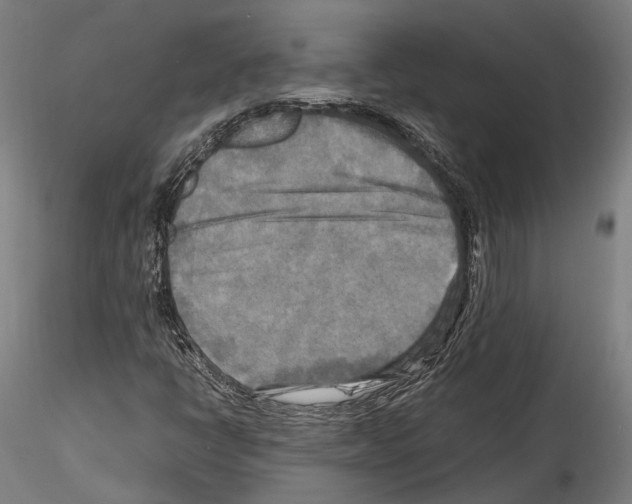 X0000114561398200911301237