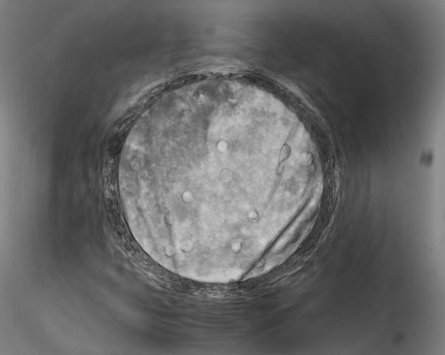 X0000114561399200911301237