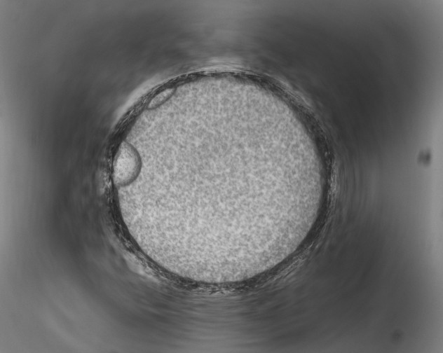 X0000114561400200911301237