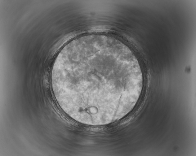 X0000114561401200911301237