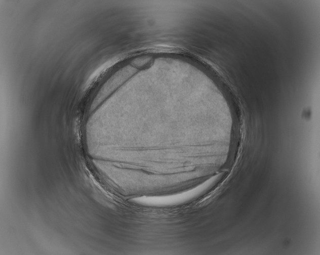 X0000114561402200911301237
