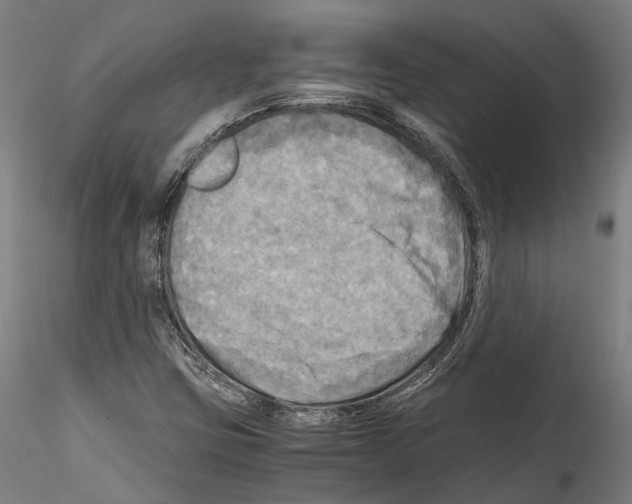 X0000114561403200911301237