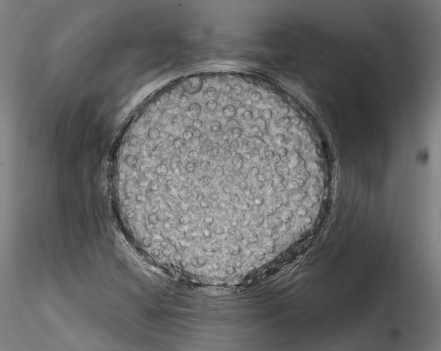 X0000114561404200911301237
