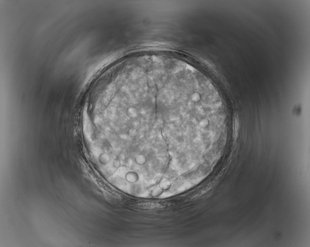 X0000114561405200911301237