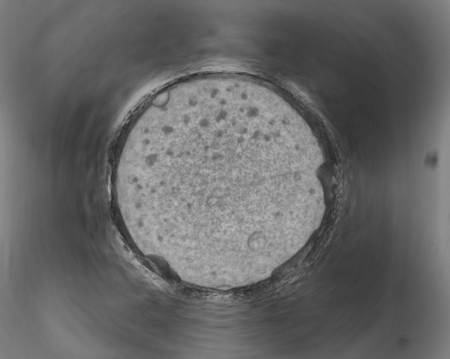 X0000114561408200911301237