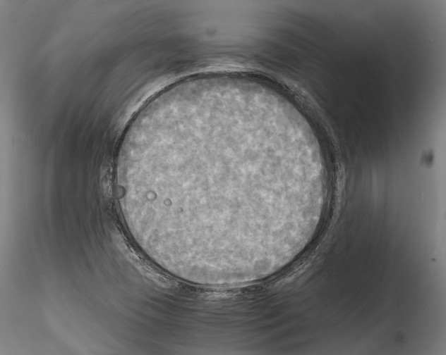X0000114561409200911301237