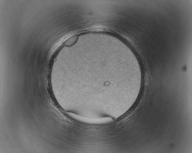 X0000114561410200911301237