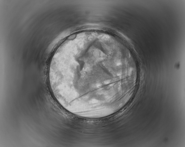X0000114561411200911301237