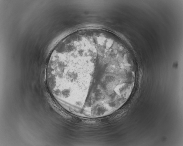 X0000114561413200911301237