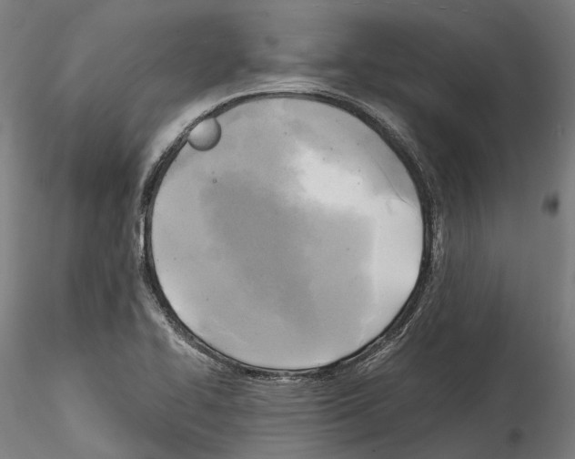 X0000114561414200911301237