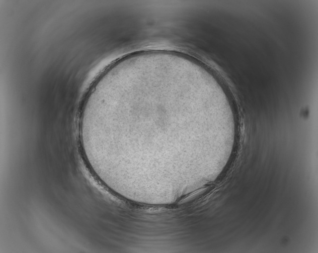 X0000114561416200911301237