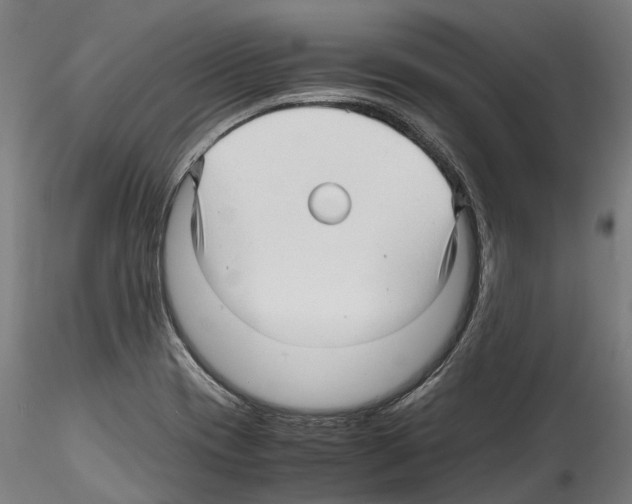 X0000114561417200911301237